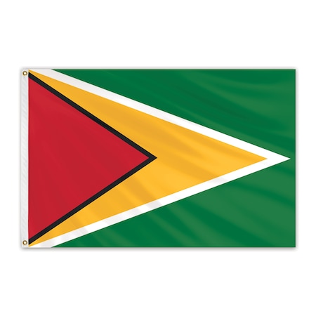 Guyana Outdoor Nylon Flag 4'x6'